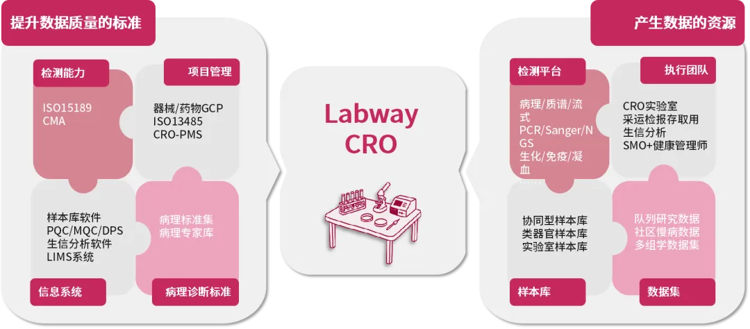 1764745486943200 图片