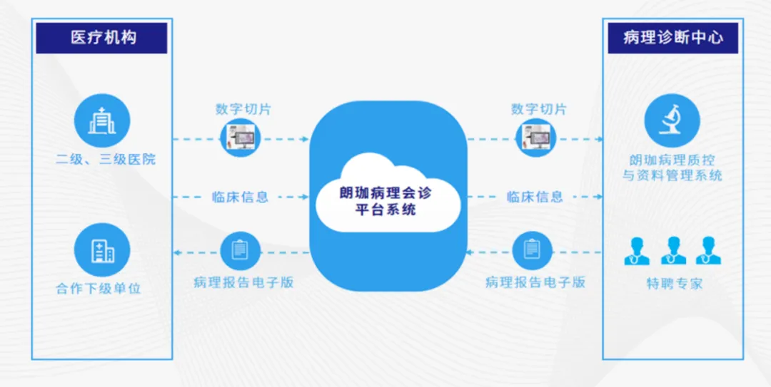 1764746285902464 图片