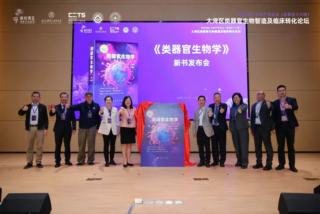 1775724076447602 图片