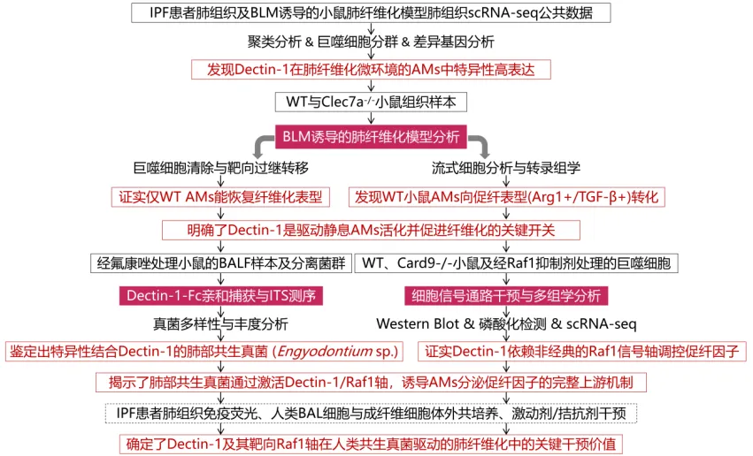 1775726395582339 图片